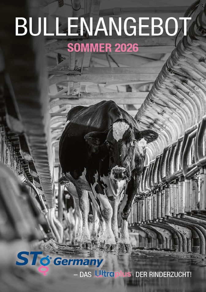 Bullenkatalog Sommer 2026
