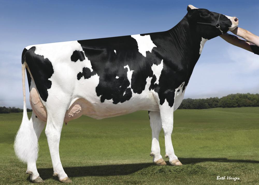 Cookiecutter Supersire Have VG-86 (UGM)