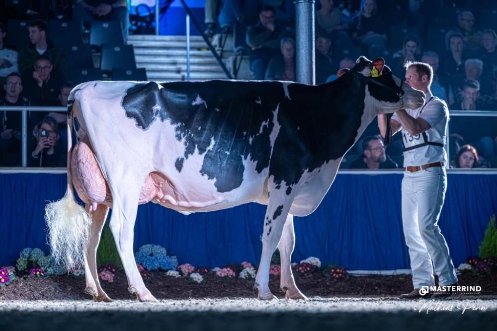 Wilcor Chief O´Katy EX-92 (3. La)
