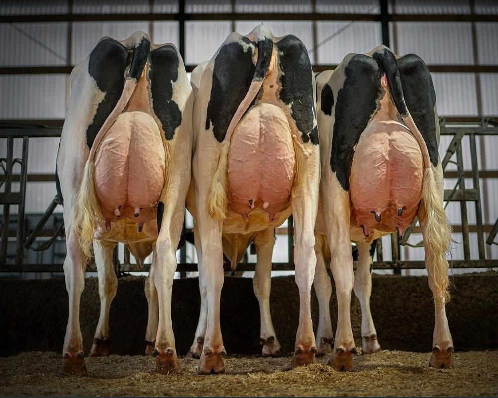 Buffalo Bill Töchter