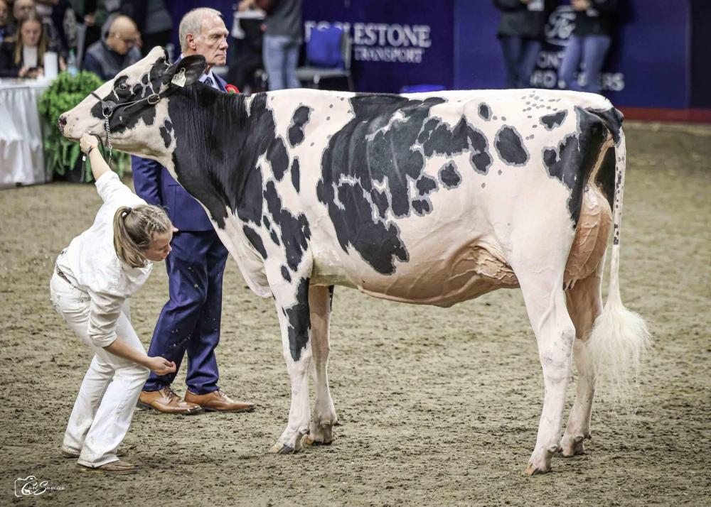 Jacobs She-Ra VG-87 (Mutter´s Schwester)