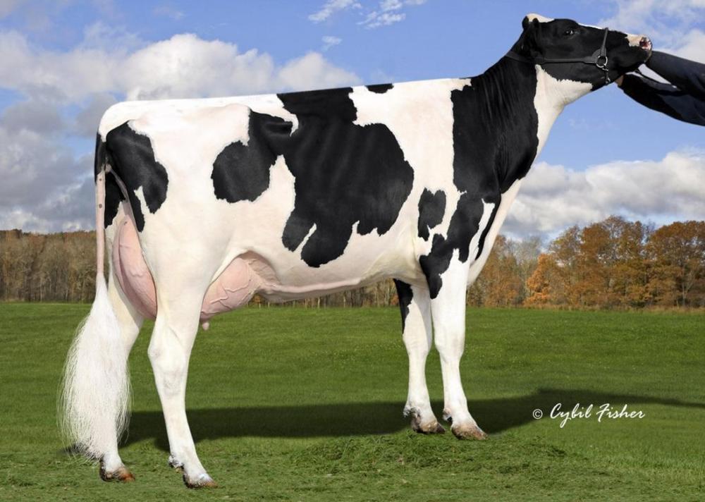 Ms Welcome Uno Tarina VG-86 (6. Mutter)