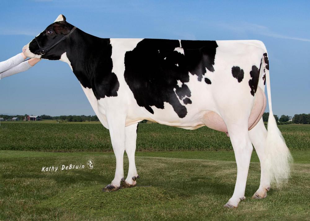 Pine-Tree 9882 Prof VG-86 (5.Mutter)