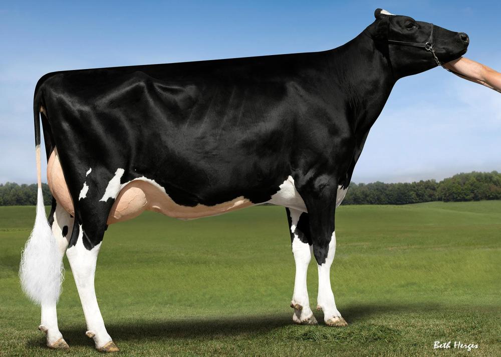 Genosource Sabre VG-85 (3. Mutter)