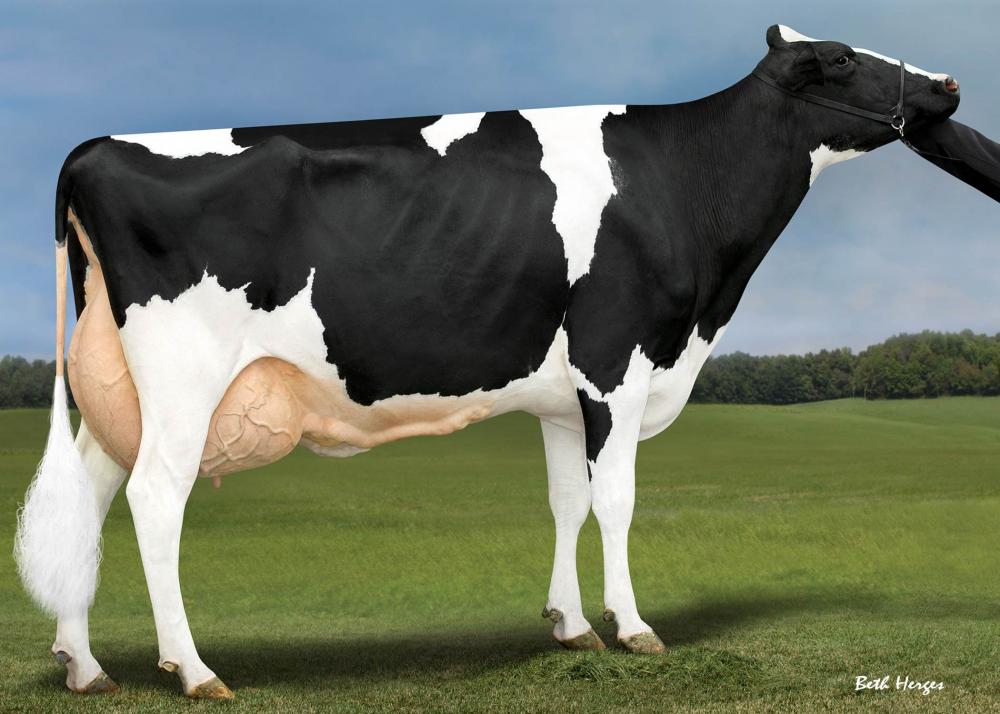 Peak Menna Ahead EX-91 (4. Mutter)