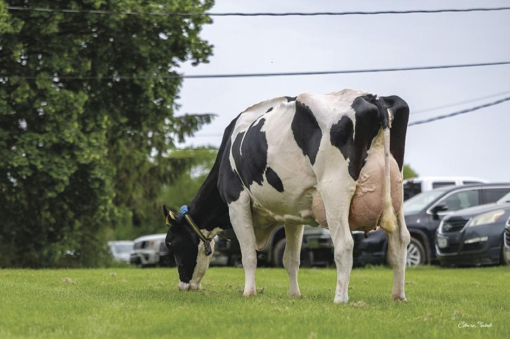 Aurora Rapid 21849 VG-88 (3. Mutter)