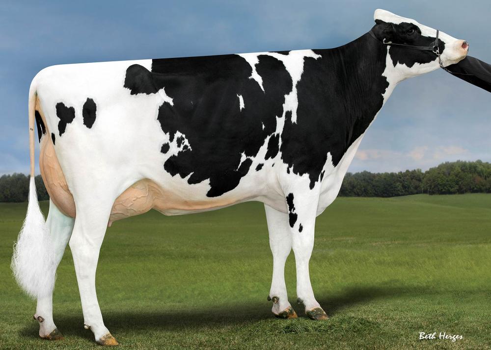 Genosource Brazen VG-85 (3. Mutter)
