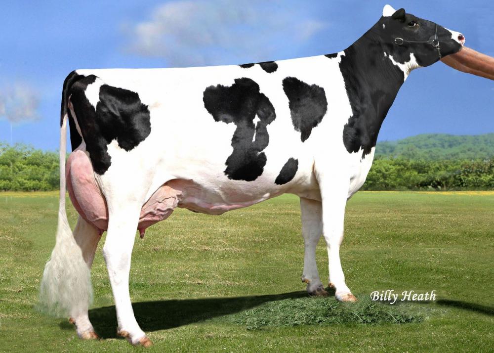 Pen-Col Legacy Best EX-90 (3. Mutter)